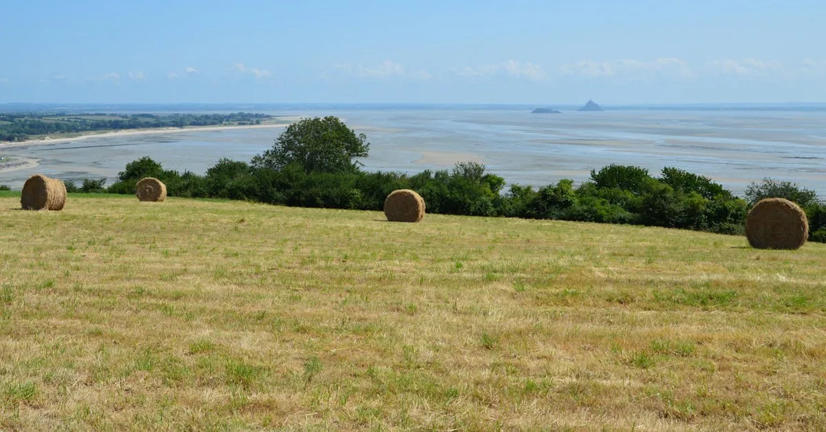 découvrez la gastronomie normande, riche en saveurs authentiques et en produits du terroir, entre fromages, cidres et fruits de mer.