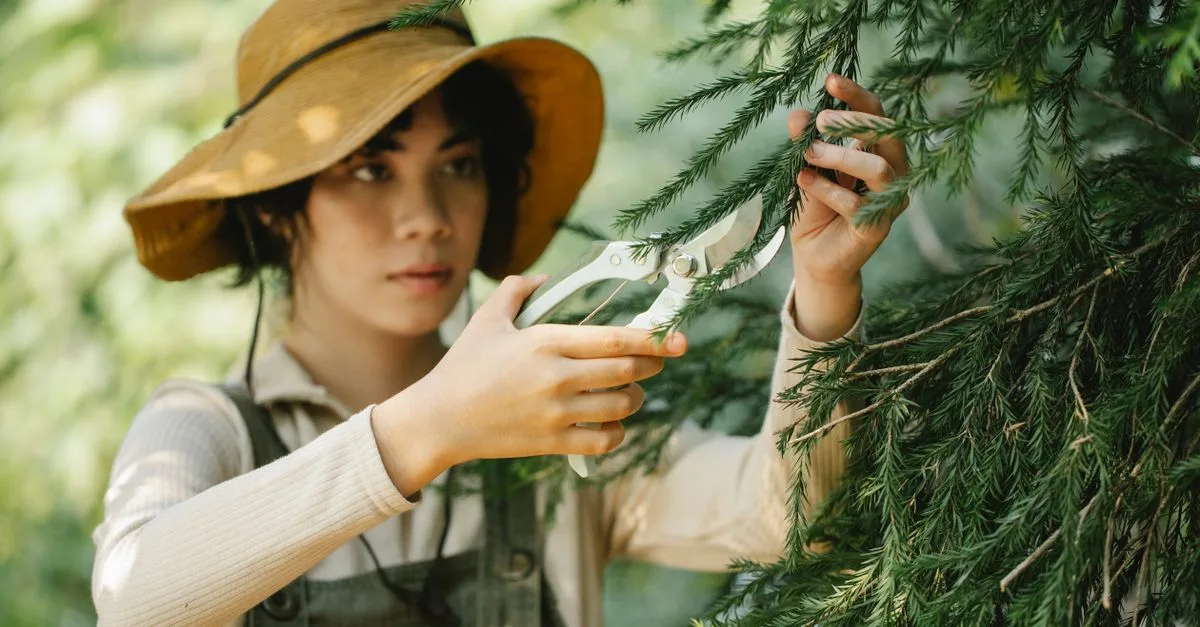 apprenez les techniques essentielles de la taille des plantes pour favoriser leur croissance, améliorer leur santé et optimiser leur rendement.